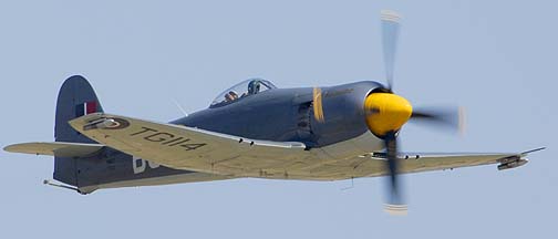 Hawker Sea Fury MK 11 N19SF Argonought